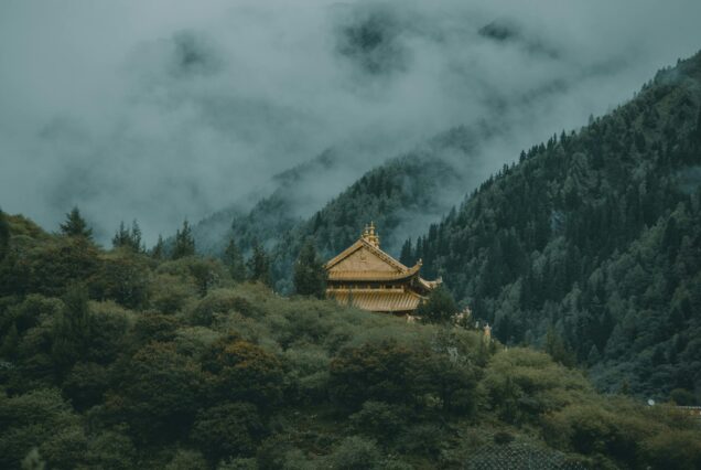 Dao Yang Yao Bath · South China Sea Medical Tourism